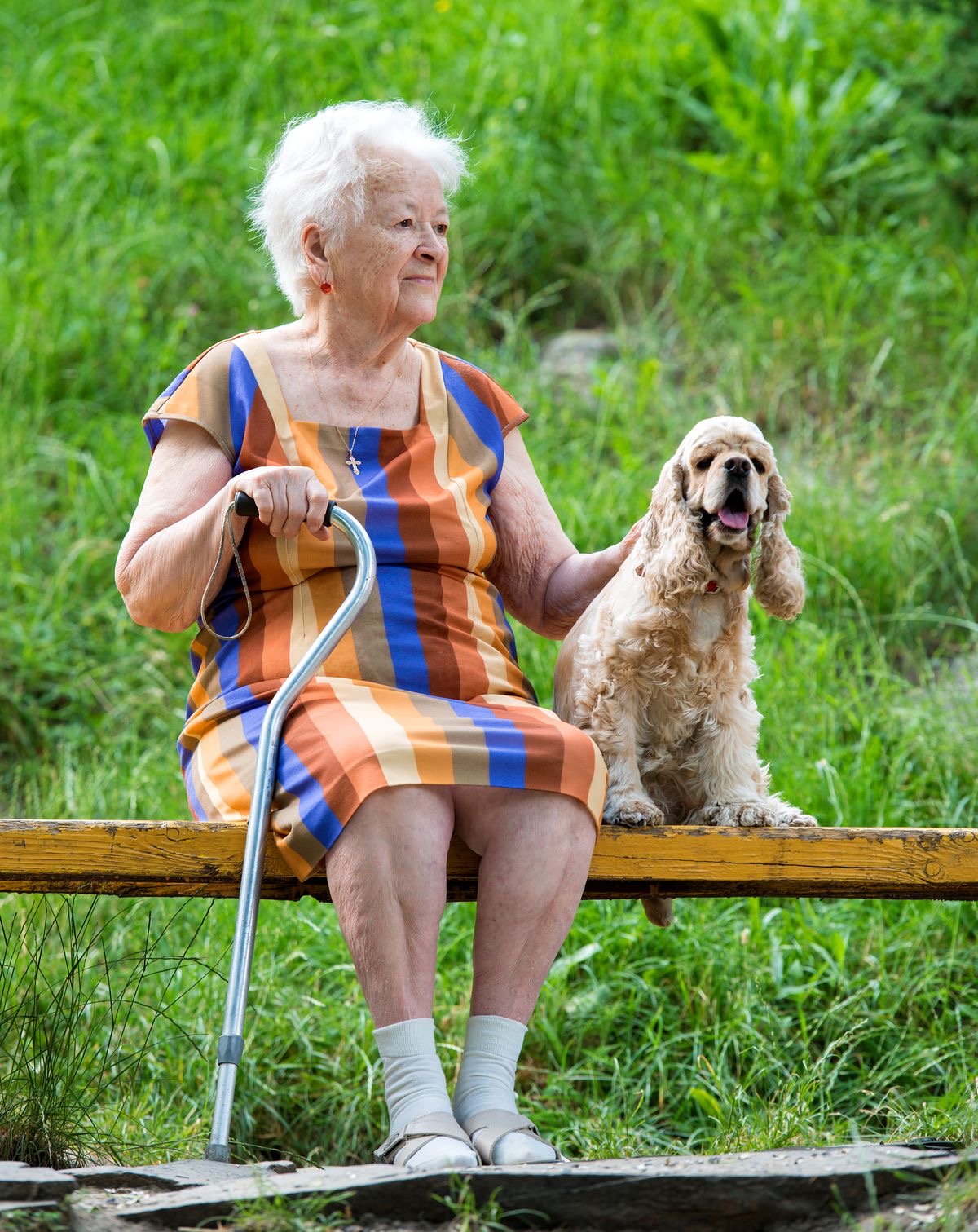 Frail Care at Fairlands